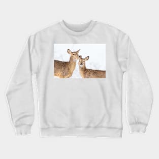 Momma’s Kisses Crewneck Sweatshirt